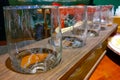 Set of empty beer glasses. Selective focus Royalty Free Stock Photo