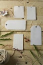 Set of empty paper price tags, wooden background