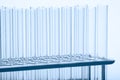 Set of empty test lab tubes on stand Royalty Free Stock Photo