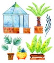 Set with English greenhouse, plants, palm trees and succulents in pots. Hand drawn watercolor sketch illustration