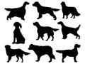 Set of English setter dog silhouette vector art