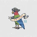 Set of engraved, hand drawn, old, labels or badges for corsairs, Caribbean parrot. Pirates marine and nautical or sea