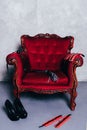 Set of erotic toys for BDSM on red chair Royalty Free Stock Photo