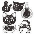 Set of esoteric cats isolated on a white background. Vector graphics