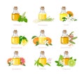 Set of essential oil in glass bottles, herb, fragrant flowers and citrus. Aromatherapy.