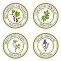 Set of essential oil labels angelica, iris, pistachio, five-flavor-berry