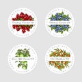 Set of essential oil labels. Green Apple, Blueberry, Cranberry and Sea backthorn oil. Hand drawn vector illustration