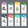 Set of essential oil labels