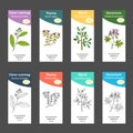 Set of essential oil labels