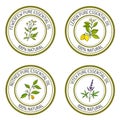 Set of essential oil labels: lemon, fewerfew, nutmeg, vitex