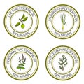 Set of essential oil labels lime, lemongrass, peppermint, white cedar