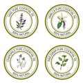 Set of essential oil labels: sage, vanilla, chamomile, marjoram