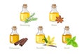 Set of essential oils in glass bottles. Vector rosemary, anise, cinnamon, vanilla, basil.