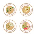 Set of essential oils labels. Myrrh, frankincense, anise, rosehip Royalty Free Stock Photo