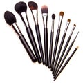 Set of essential professional make-up brushes