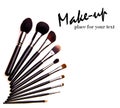 Set of essential professional make-up brushes