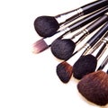 Set of essential professional make-up brushes