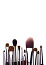 Set of essential professional make-up brushes