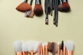 Set of essential professional make-up brushes