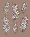 Set of ethnic bird feathers in boho style brown background. Boho collection pastel colors vector hand drawn. Royalty Free Stock Photo