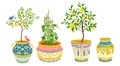 Set of ethnic ceramic pots with citrus trees and birds. Vector illustration.