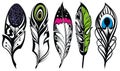 Set of ethnic feathers