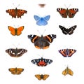 Set of 13 european butterflies Royalty Free Stock Photo