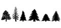 Set of Evergreen Trees