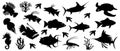 Set of exclusive marine inhabitants painted in black on a white background. Tattoos, emblems for clothes
