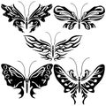 Set, exotic butterfly. Royalty Free Stock Photo