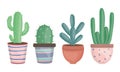 Set of exotic cactus plants in ceramic pots