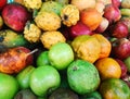 Set of exotic and colorful tropical fruits: including apple, orange, mango