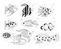 Set of exotic coral reef fish. Underwater swimming animals. Tropical fish for the aquarium. vector cartoon hand drawn elements for Royalty Free Stock Photo