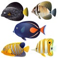 A set of exotic fish isolated