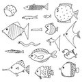 Set of exotic fish. Vector illustration Royalty Free Stock Photo
