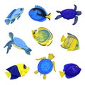 Set of exotic fish. Vector illustration on white background. Royalty Free Stock Photo