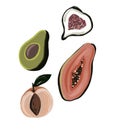 Set of exotic fruit halves. Illustration of peach, papaya, avocado, figs