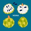 Set of exotic fruit icons. Collection of noina, sugar apple or sweetsop. Organic food concept. Vector doodle illustration