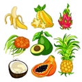 set of exotic fruits pandan banana avocado coconut papaya pineapple, Pitahaya, star carambola. vector illustration