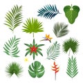 Set of exotic tropical leaves isolated vector illustration on white Royalty Free Stock Photo