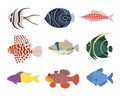 Set of exotic tropical marine aquarium colorful fish Royalty Free Stock Photo