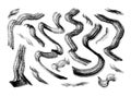 Set of expressive wavy vector black brushstrokes