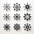 Symmetrical Black And White Snowflakes: New Year Vector Art Royalty Free Stock Photo