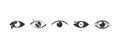 Set of eyes with eyelashs icon flat style. Royalty Free Stock Photo