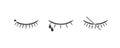 Set of eyes with eyelashs icon flat style. Royalty Free Stock Photo