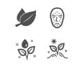 Face biometrics, Plants watering and Mint leaves icons. Grow plant sign. Vector