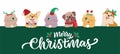 The set of faces cats and dogs for Merry Christmas Royalty Free Stock Photo