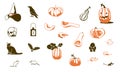 Set of fall Halloween celebration objects Royalty Free Stock Photo