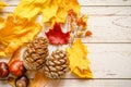 A set of fall materials for children`s creativity and crafts on a wooden table. orange fallen autumn maple leaves and seeds, ceda Royalty Free Stock Photo