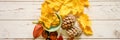 a set of fall materials for children`s creativity and crafts on a wooden table. orange fallen autumn maple leaves and seeds, ceda Royalty Free Stock Photo